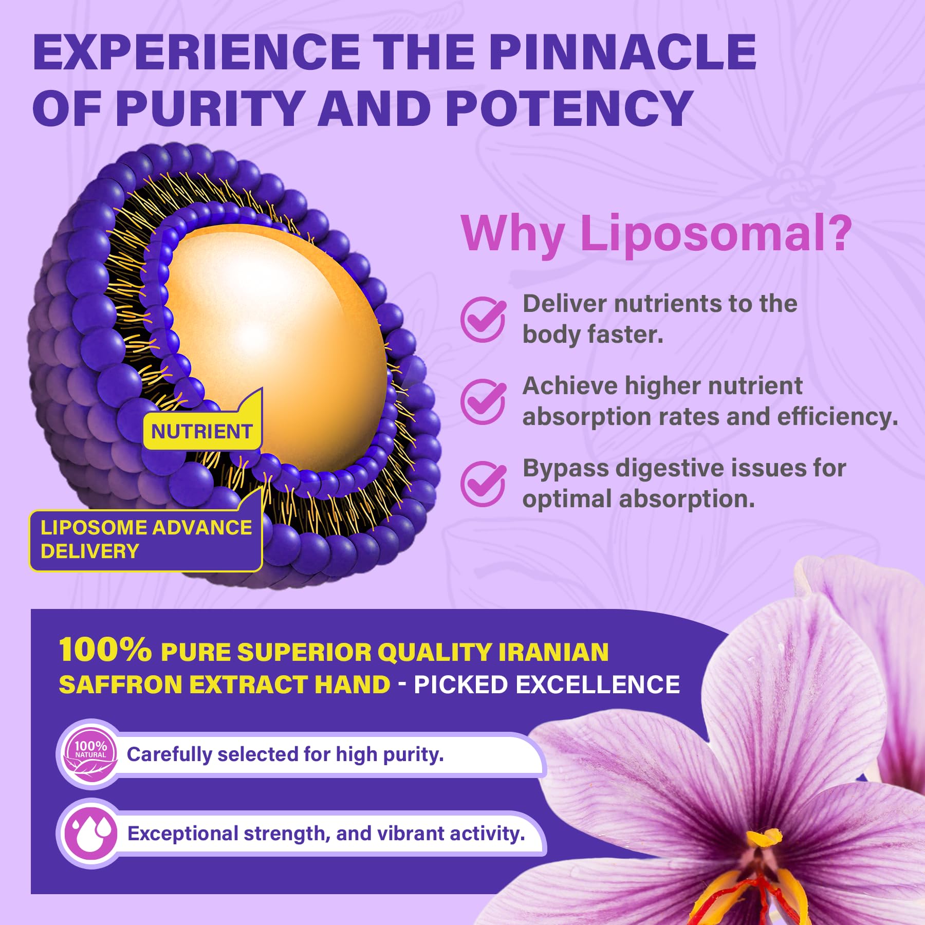 Nextdia absorption liposomale : technologie pour meilleure biodisponibilité.