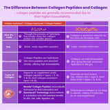Nextdia Collagen Gummies enzymes digestives : meilleure digestion et absorption des nutriments.
