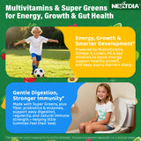 Nextdia gommes sans sucre saveur pomme verte – expérience gourmande et saine.