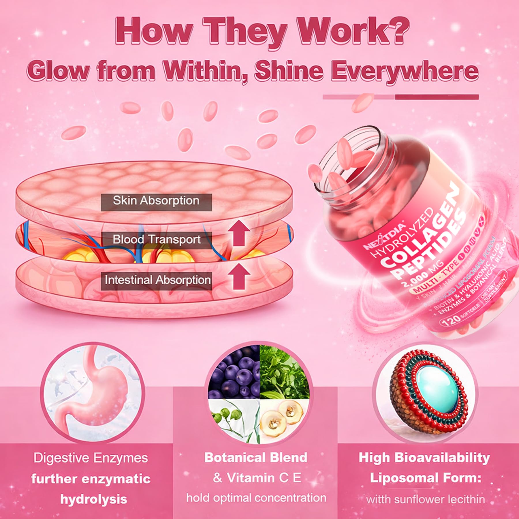 Nextdia ingrédients végétaux non-GMO utilisés dans les gélules collagène.