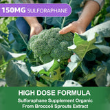 Nextdia ingrédients vitamines C et E, soutiennent la protection cellulaire au quotidien.