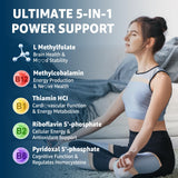 Nextdia L-MethylFolate gommes, packaging arrière avec informations produit.