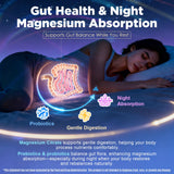 Nextdia magnésium 12 en 1 gummies prébiotiques et probiotiques inclus