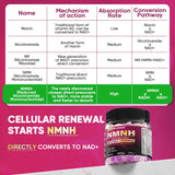 Nextdia NMNH Gummies delivery core assure une absorption efficace.