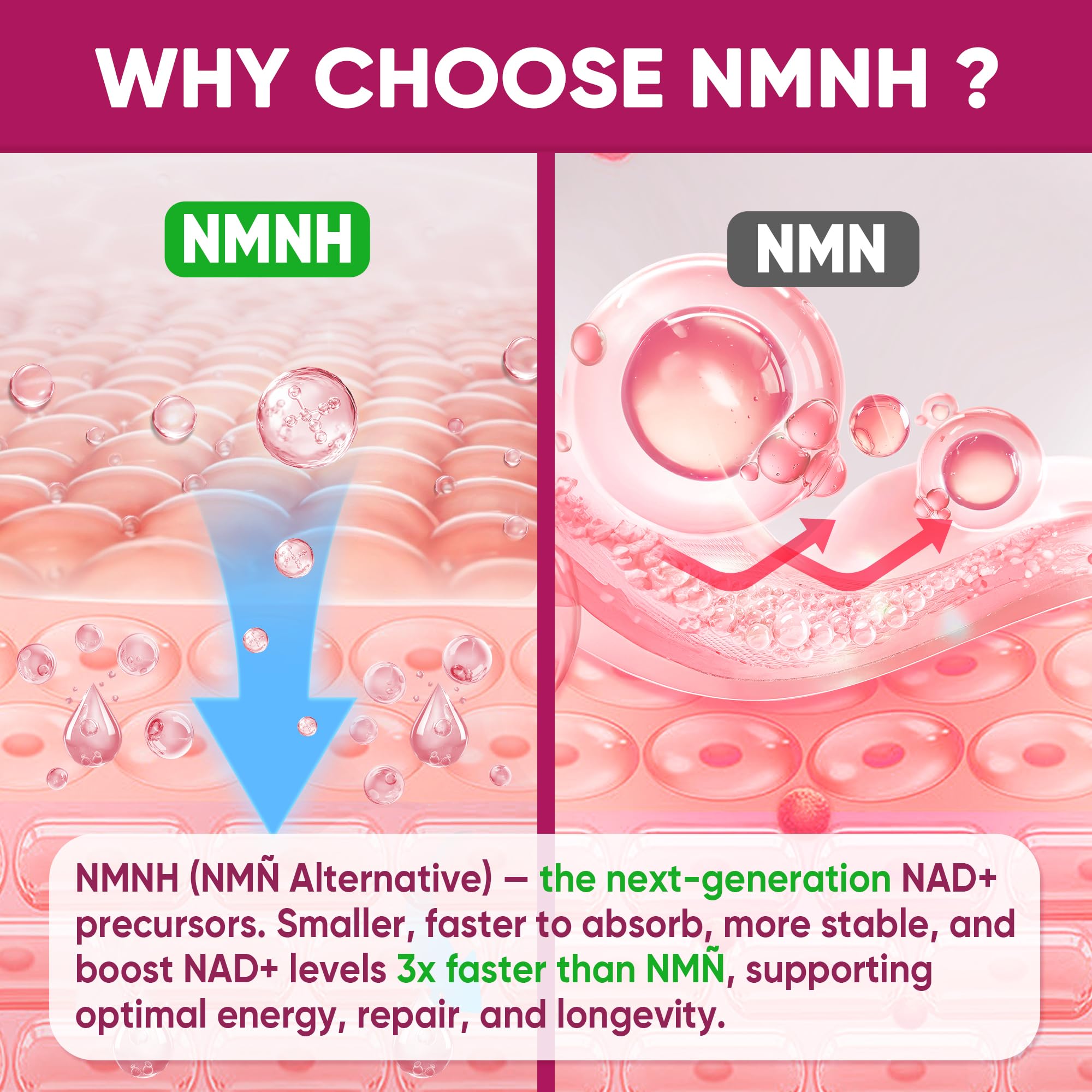 Nextdia NMNH Gummies mélange polyphénols soutiennent les antioxydants.