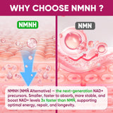 Nextdia NMNH Gummies mélange polyphénols soutiennent les antioxydants.