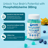 Nextdia phosphatidylsérine bacopa bonbons gélifiés: rappel et clarté potentielle lors des sessions d'étude