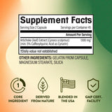 NGL Extrait d'artichaut : dose 1300 mg visible pour le soutien digestif.