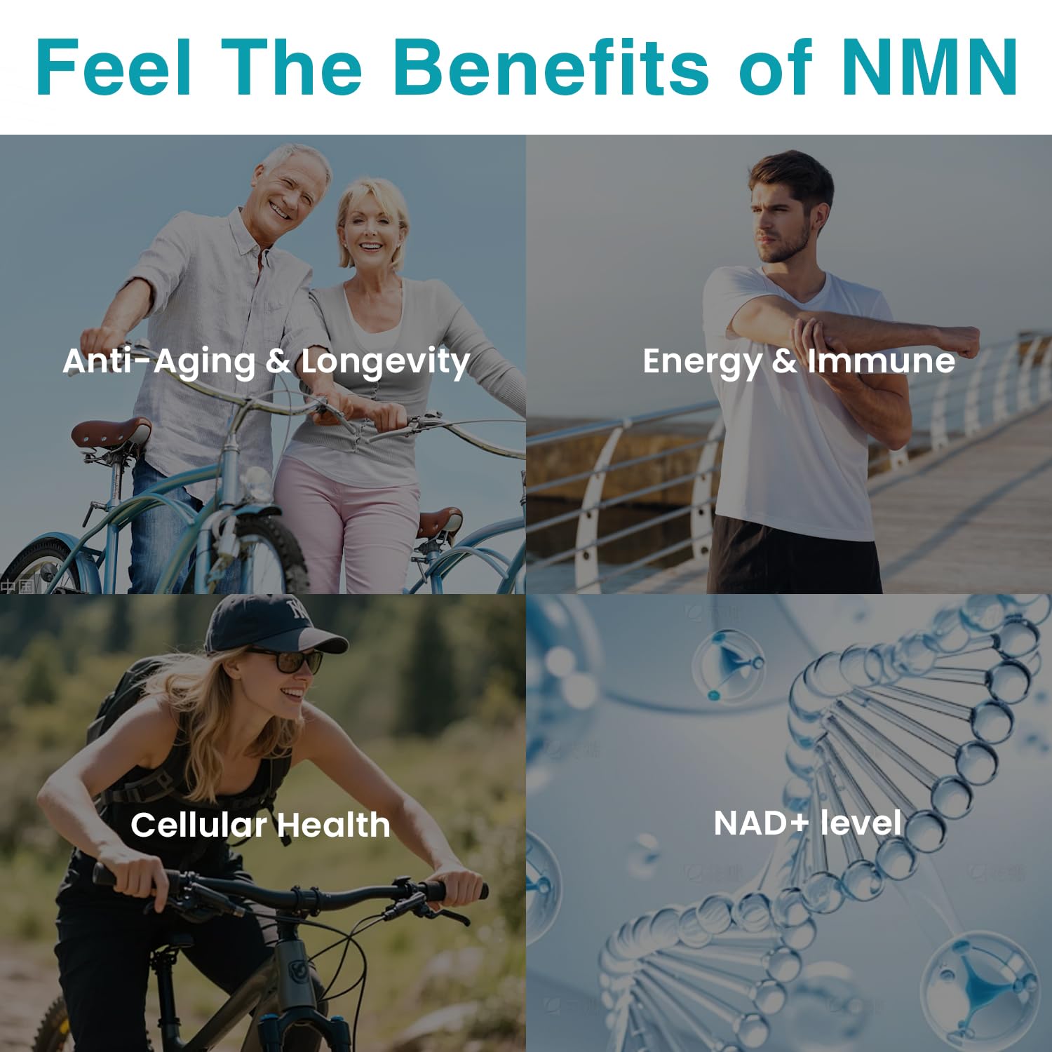 Nivantav NMN 500 mg - gros plan sur capsules à absorption optimale
