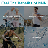 Nivantav NMN 500 mg - gros plan sur capsules à absorption optimale
