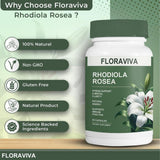 Capsules Floraviva Rhodiola Rosea en main pour routine bien-être