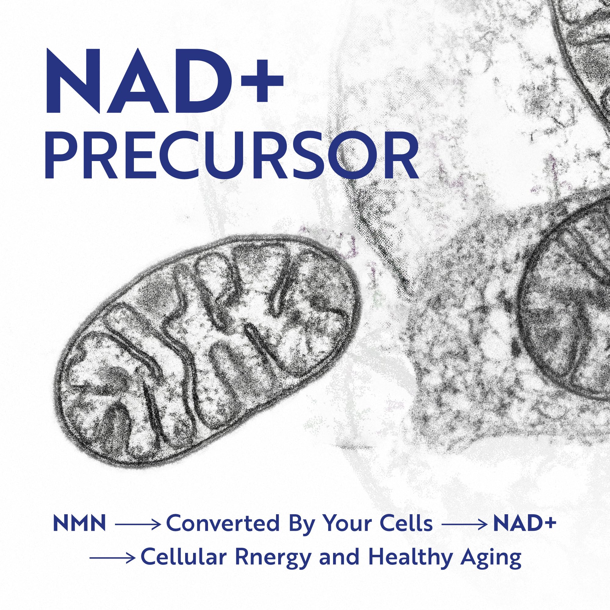 Nobi Nutrition NMN – flacon en verre et présentation premium.
