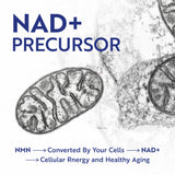Nobi Nutrition NMN – flacon en verre et présentation premium.