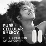 Nobi Nutrition NMN – rituel matin/soir pour énergie potentielle.
