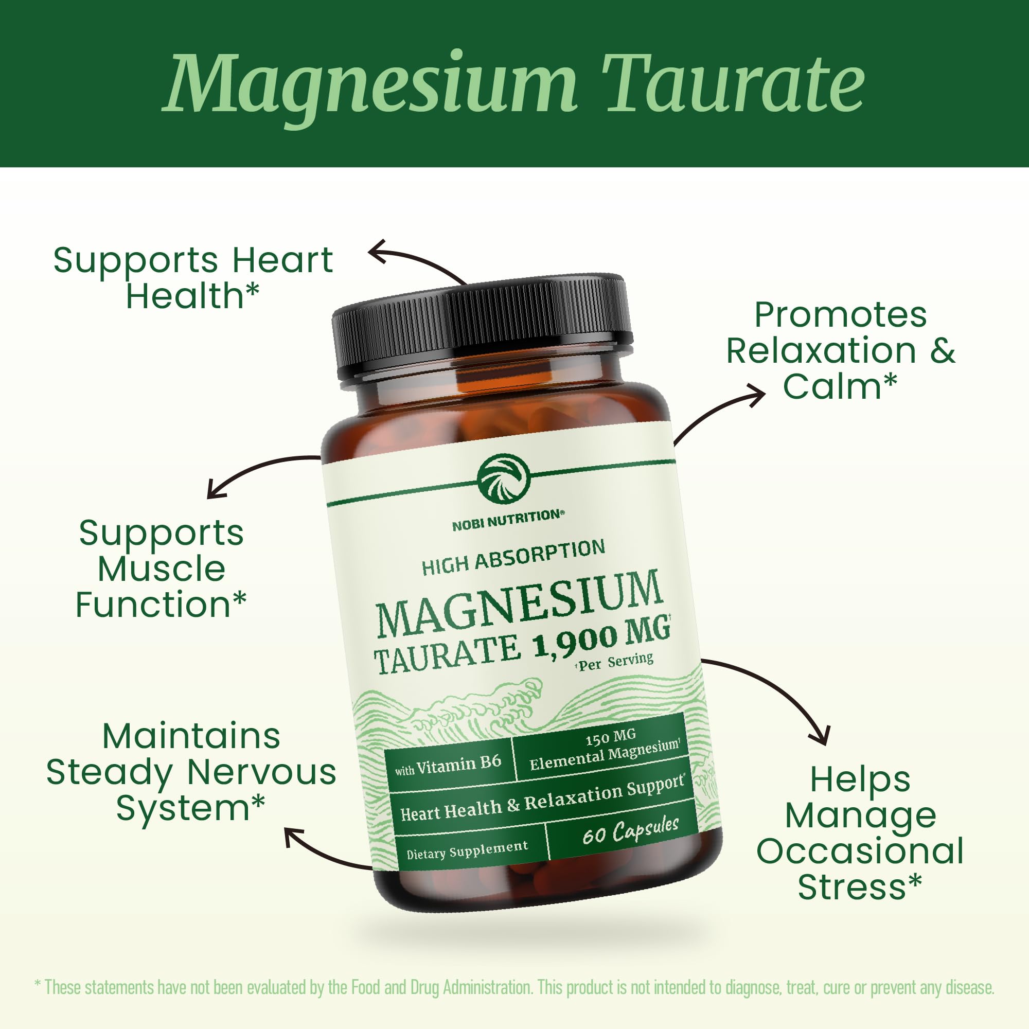 Représentation visuelle du magnésium Taurate et de la taurine, favorisant l'absorption.