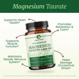 Représentation visuelle du magnésium Taurate et de la taurine, favorisant l'absorption.