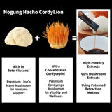 Nogung CordLion – extraits entiers Cordyceps et crinière de lion, mélange premium.