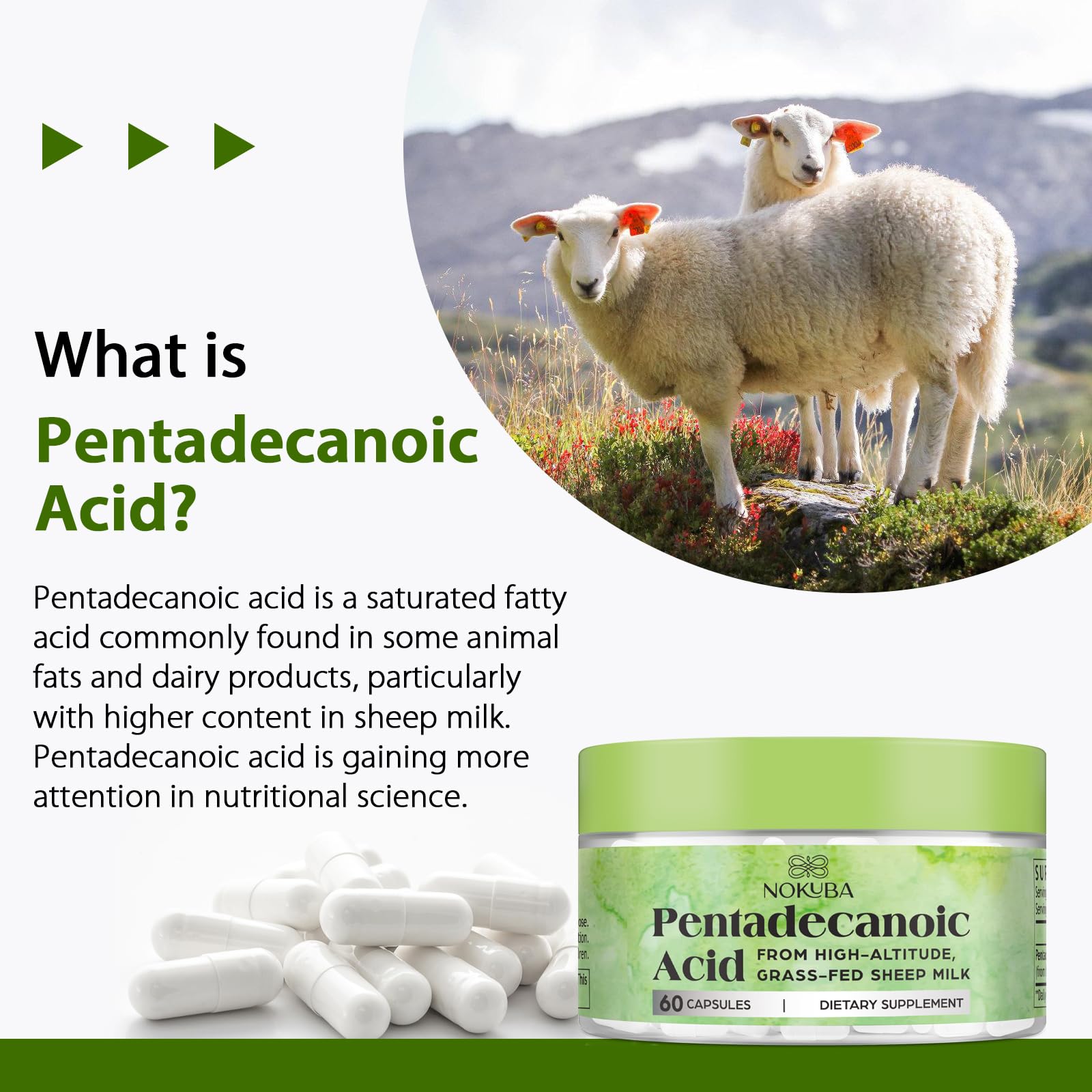 Nokuba étiquette produit acide pentadécanoïque 300 mg – informations claires