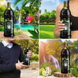 Idée mélange Noni Tahitien Morinda dans une boisson mixée matinale.