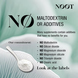 NOOT Trans-Resveratrol: clarté mentale et mémoire soutenues par une routine régulière.