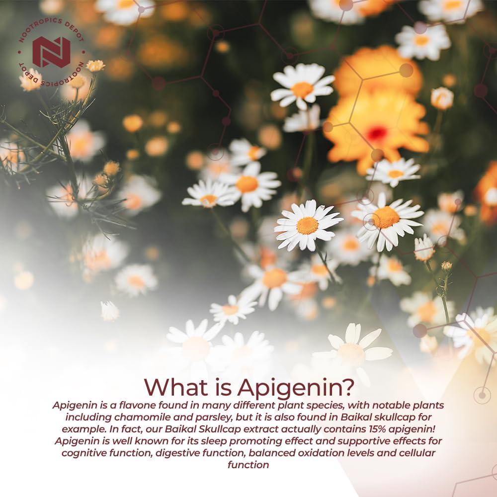 Capsules Apigénine Nootropics Depot, 200 mg, potentiel soutien mémoire.