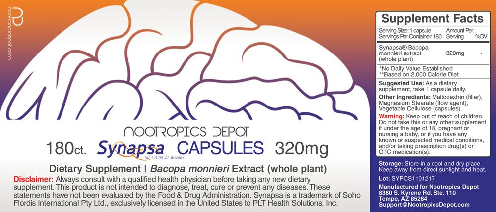 Synapsa Bacopa Monnieri par Nootropics Depot flacon avec extrait standardisé