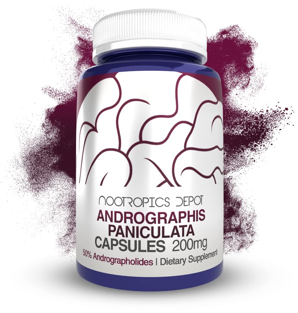 Nootropics Depot andrographis, capsules visibles dans une bouteille, soutien potentiel de l'immunité.