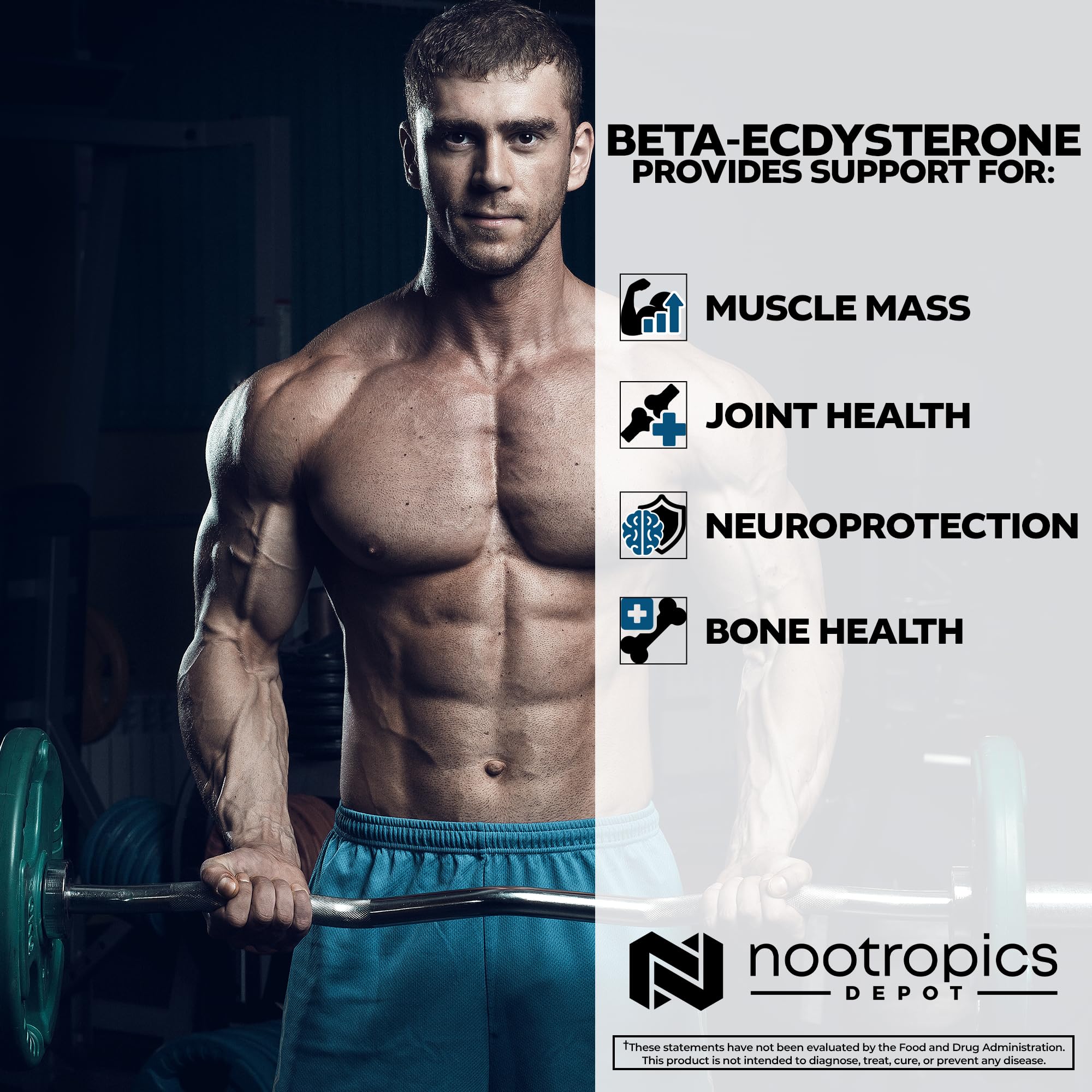 Nootropics Depot Gros plan sur tablette, couleur et texture visibles.
