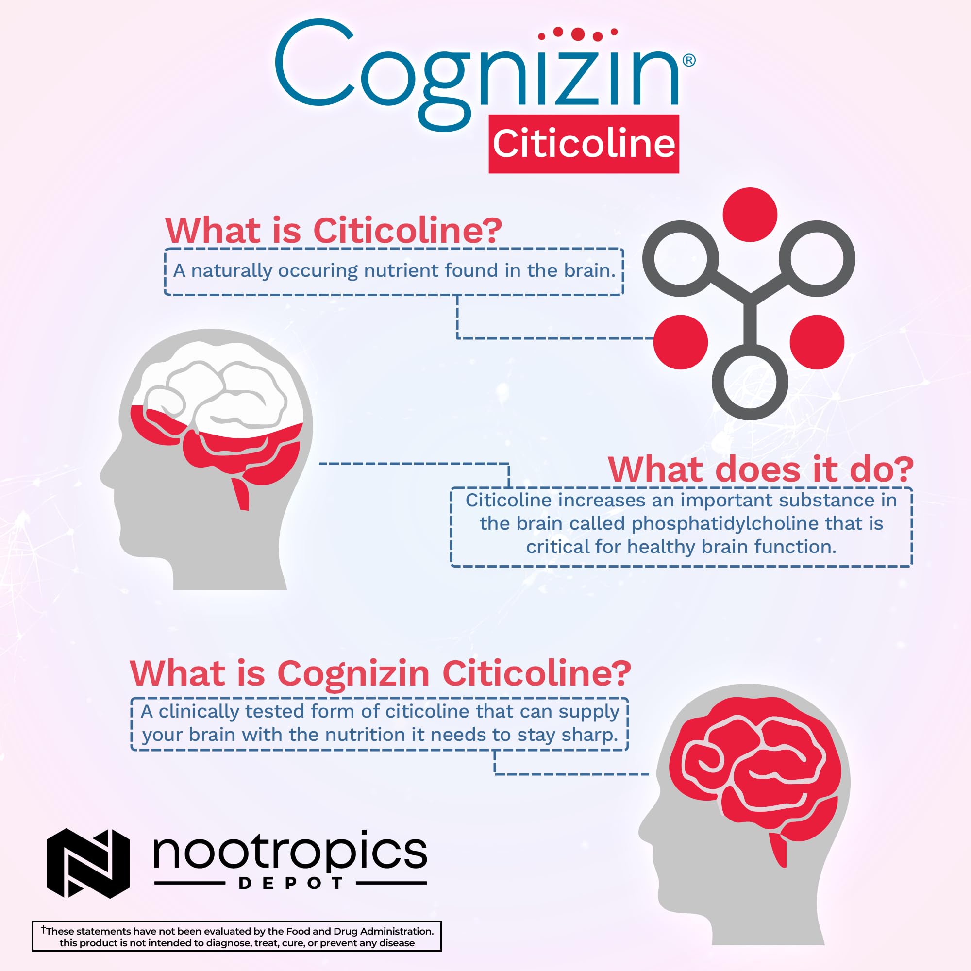 Emballage Cognizin et notice, formulation naturelle pour les fonctions cérébrales.