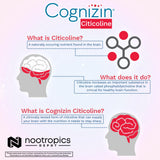 Emballage Cognizin et notice, formulation naturelle pour les fonctions cérébrales.