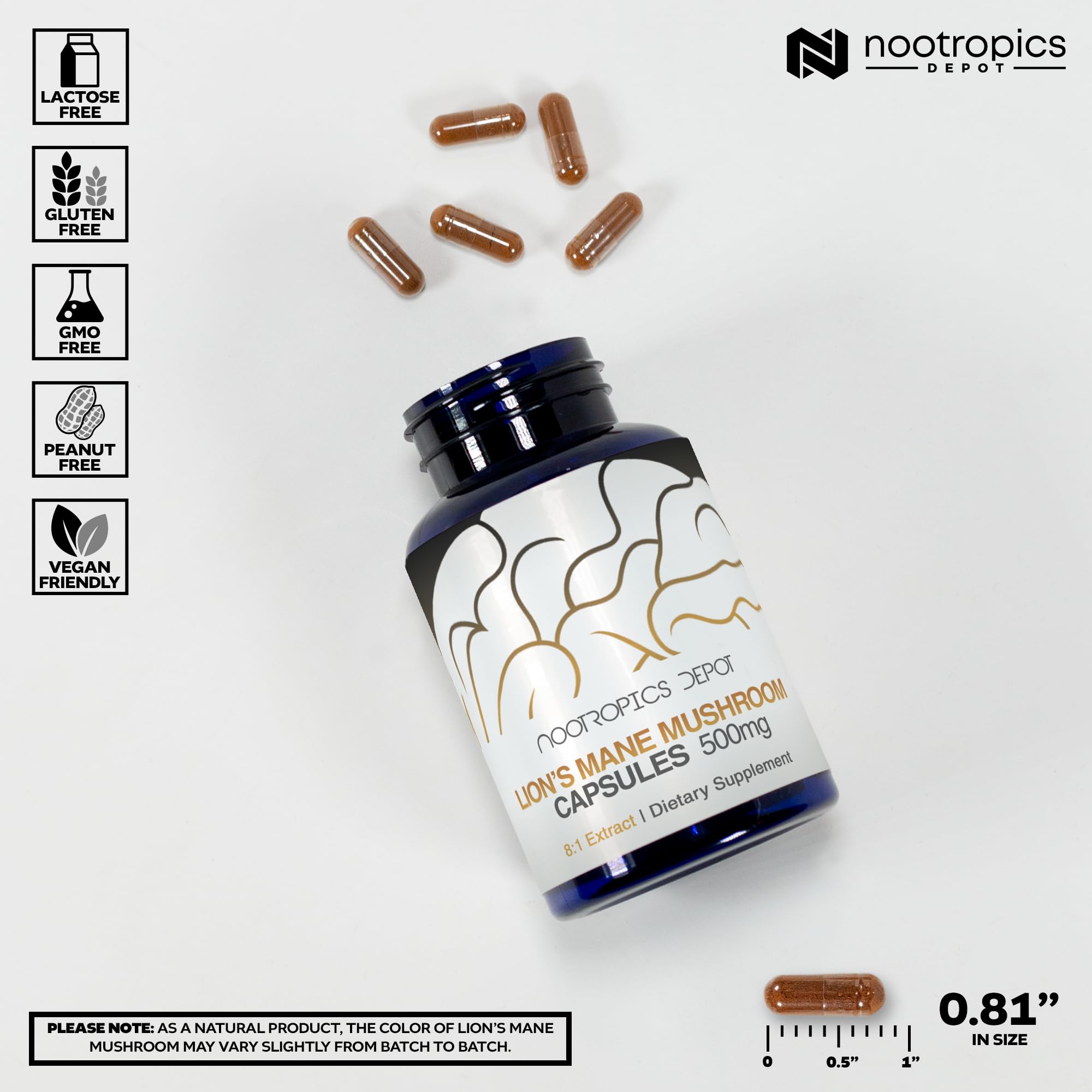 Nootropics Depot, corps fructifiant entier crinière de lion pour le quotidien.