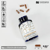 Nootropics Depot, corps fructifiant entier crinière de lion pour le quotidien.