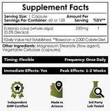 Nootropics Depot Ecklonia cava, algues brunes; formulation naturelle pour un esprit calme.