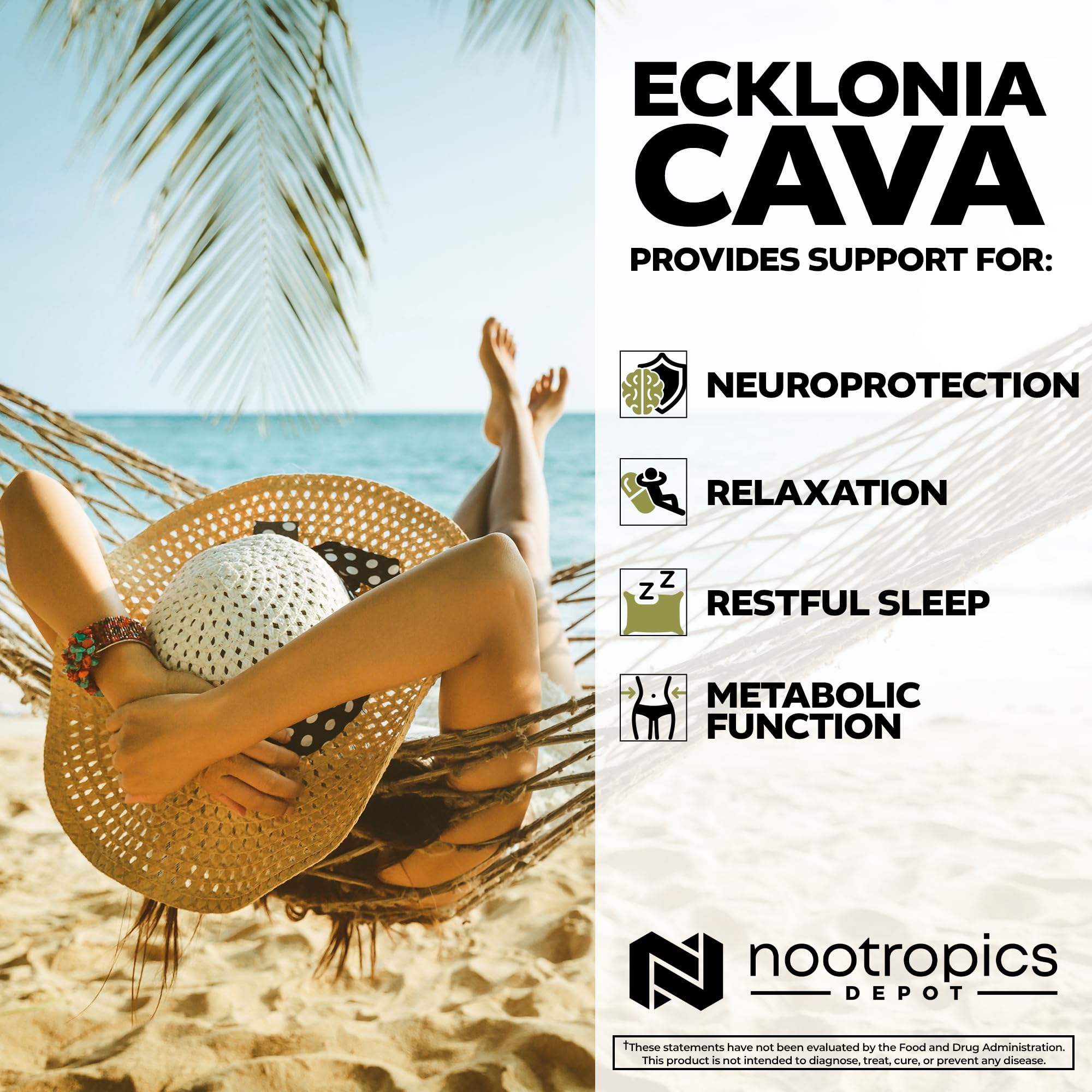 Nootropics Depot Ecklonia cava, algues brunes; phlorotannins potentiels pour le soutien cellulaire.