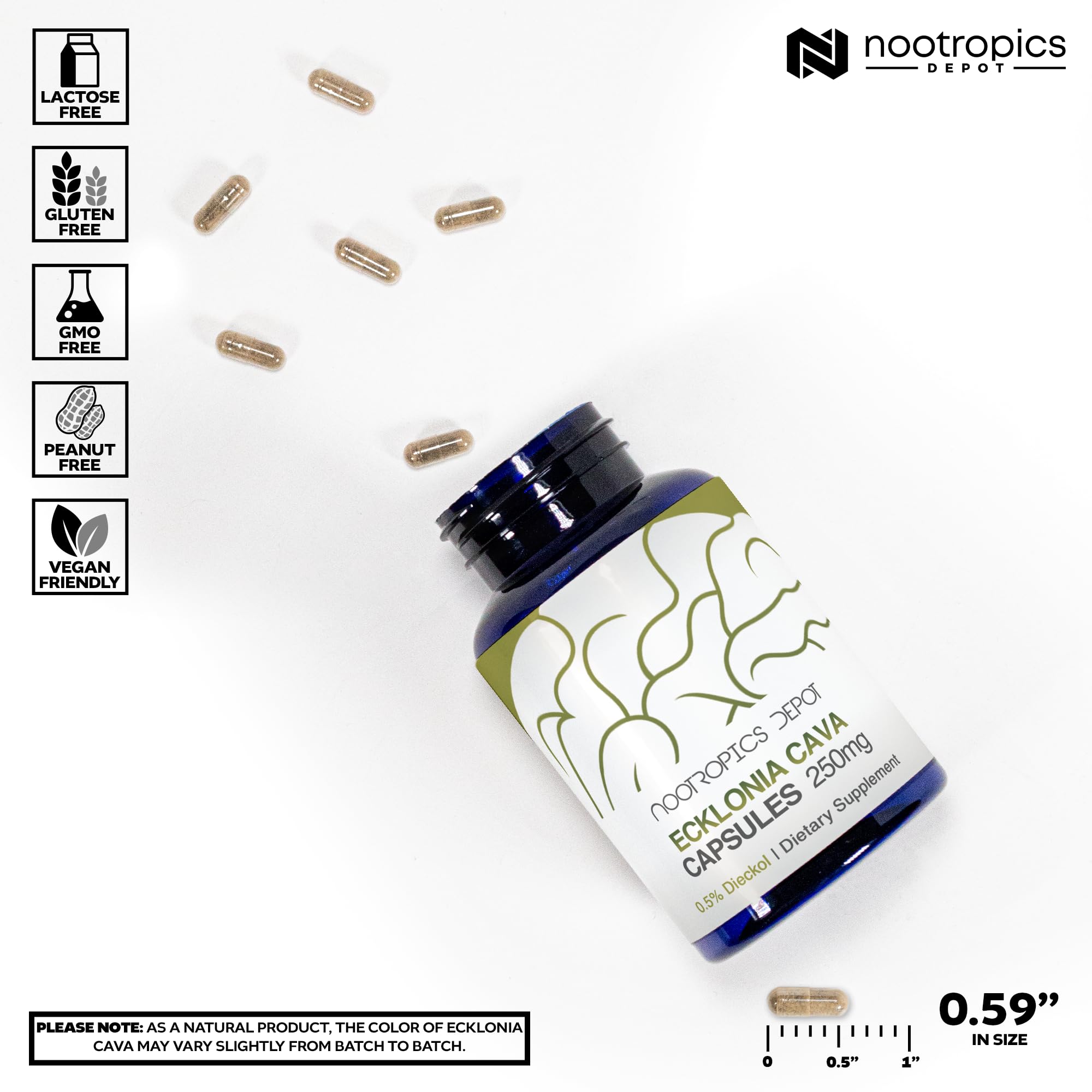Nootropics Depot Ecklonia cava, capsules 250 mg; sommeil plus réparateur potentiel.