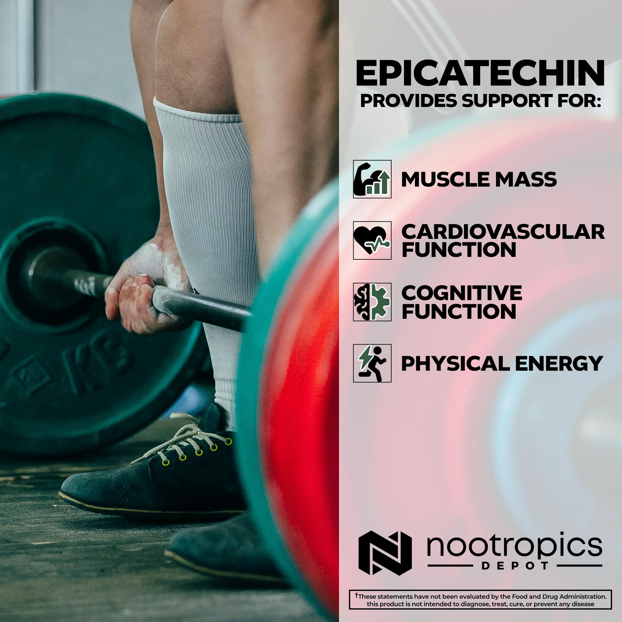 Étiquette claire sur l'emballage Nootropics Depot Épicatechine.