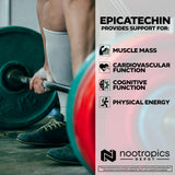 Étiquette claire sur l'emballage Nootropics Depot Épicatechine.