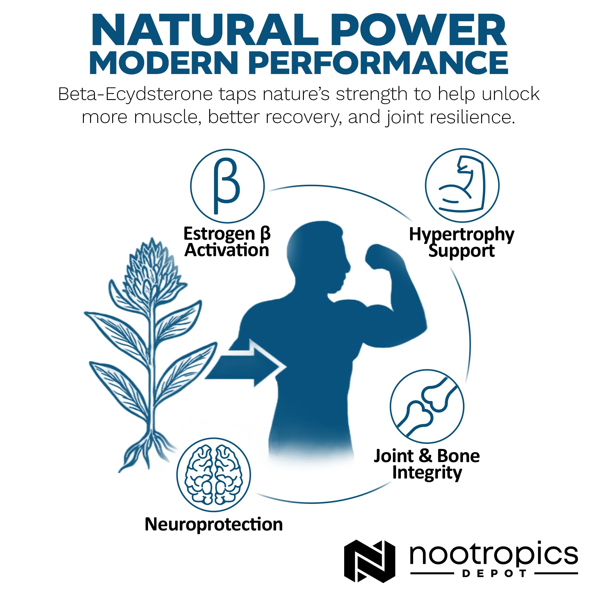 Nootropics Depot Étui de transport, bouteille protégée en déplacement.