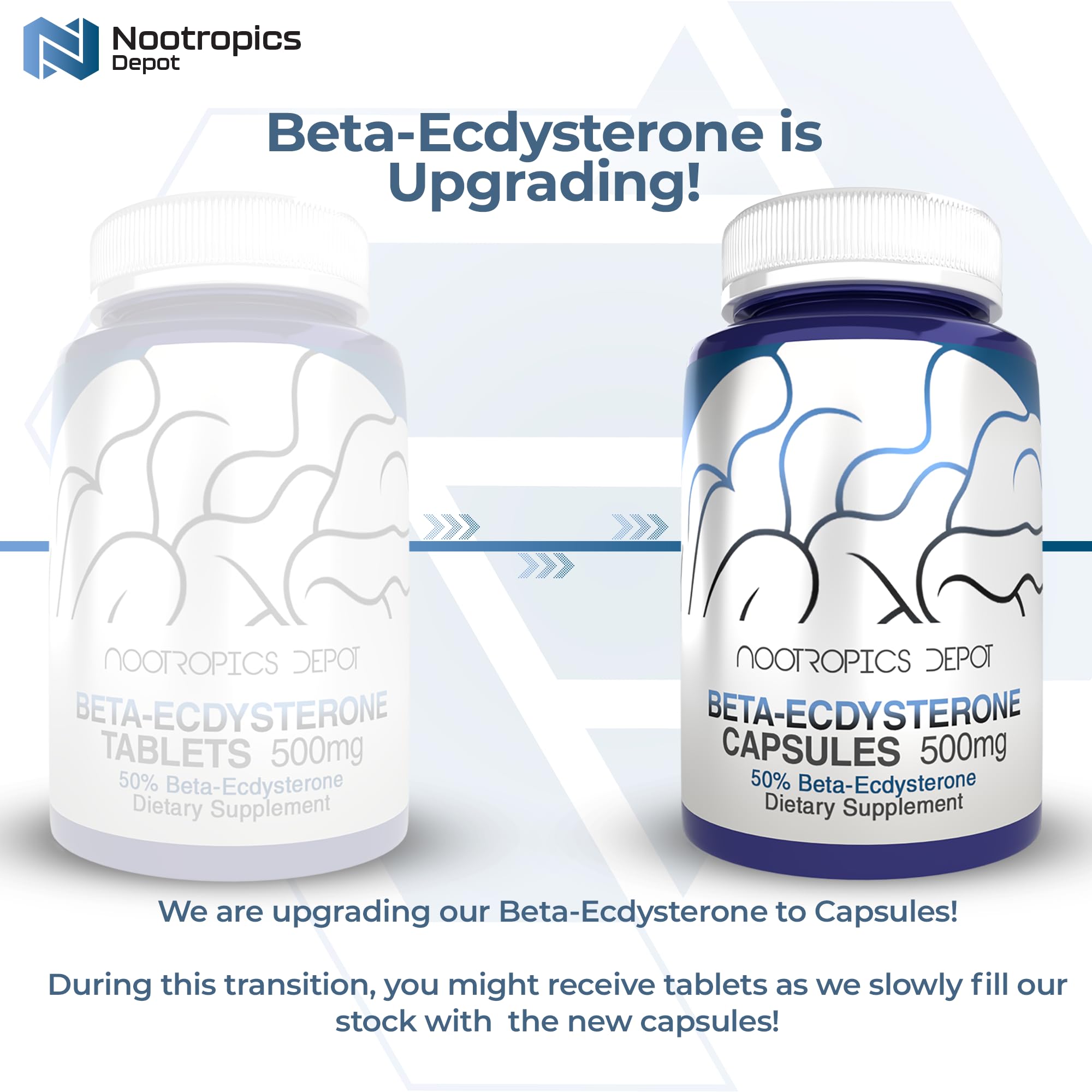 Nootropics Depot Extrait Cyanotis arachnoidea, extrait standardisé en phytoecdystéroïdes.