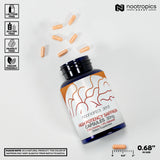Nootropics Depot crocins visibles en gros plan démontrant les caroténoïdes.