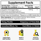 Nootropics Depot Shoden gélules, gros plan sur les capsules et concentration potentielle.