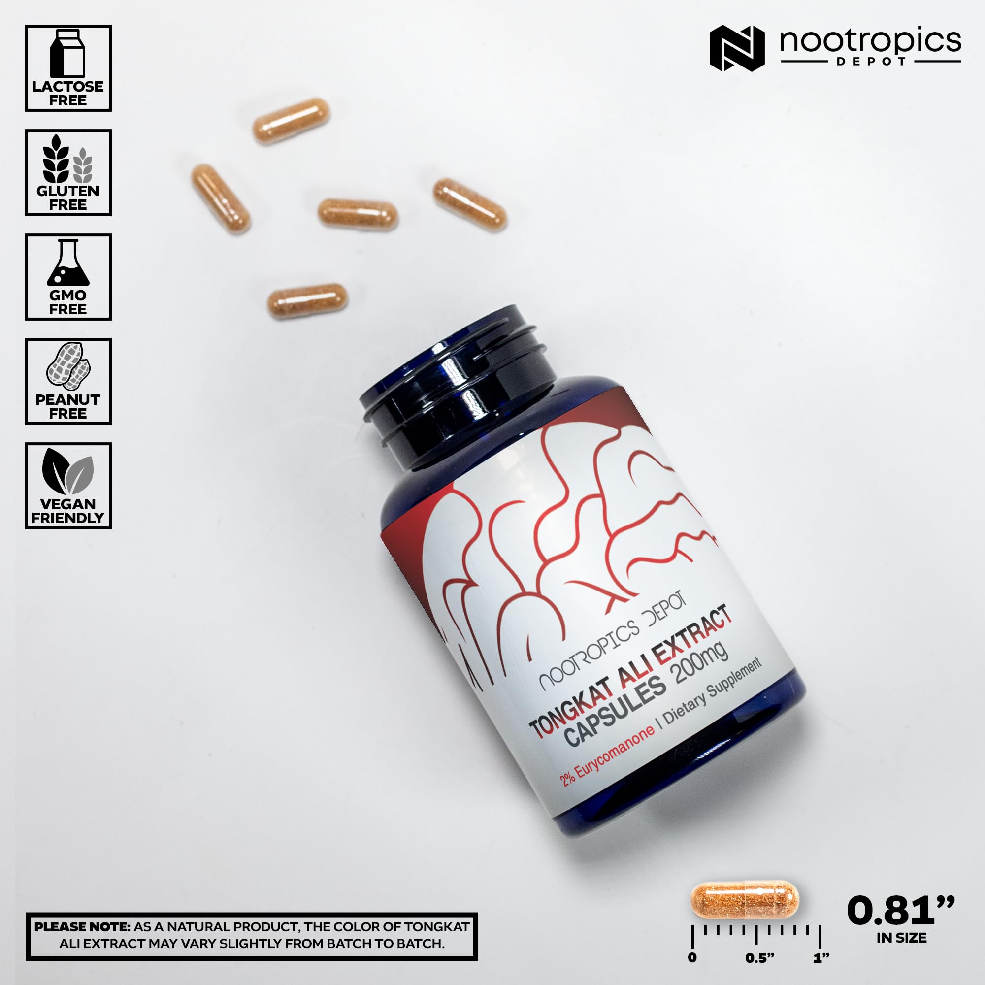 Nootropics Depot Tongkat Ali – rituel quotidien pour énergie et motivation