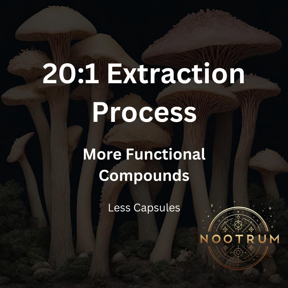 Nootrum Mushrooms — énergie soutenue lors des journées actives.