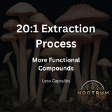 Nootrum Mushrooms — énergie soutenue lors des journées actives.