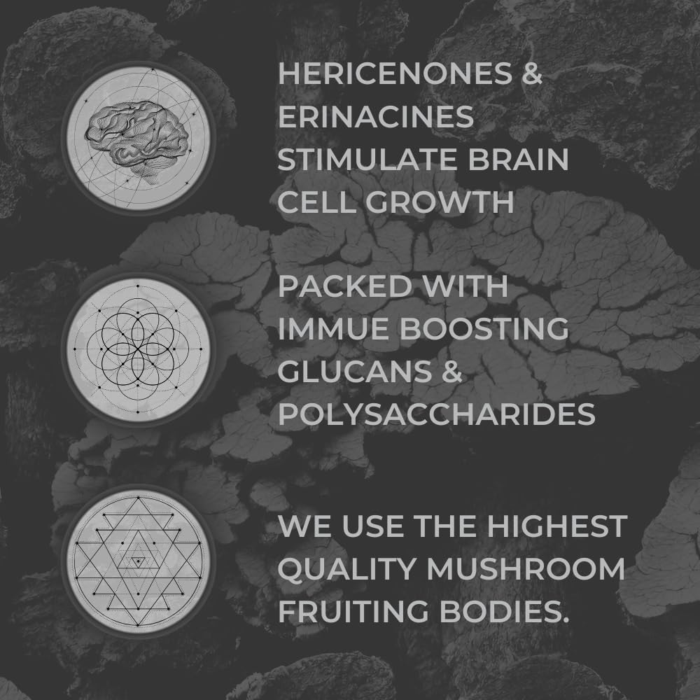 Nootrum Mushrooms — extraits de champignons pour le soutien cognitif.