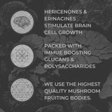 Nootrum Mushrooms — extraits de champignons pour le soutien cognitif.