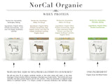 Parfum cacao naturel pour NorCal Organic whey chocolat, saveur authentique