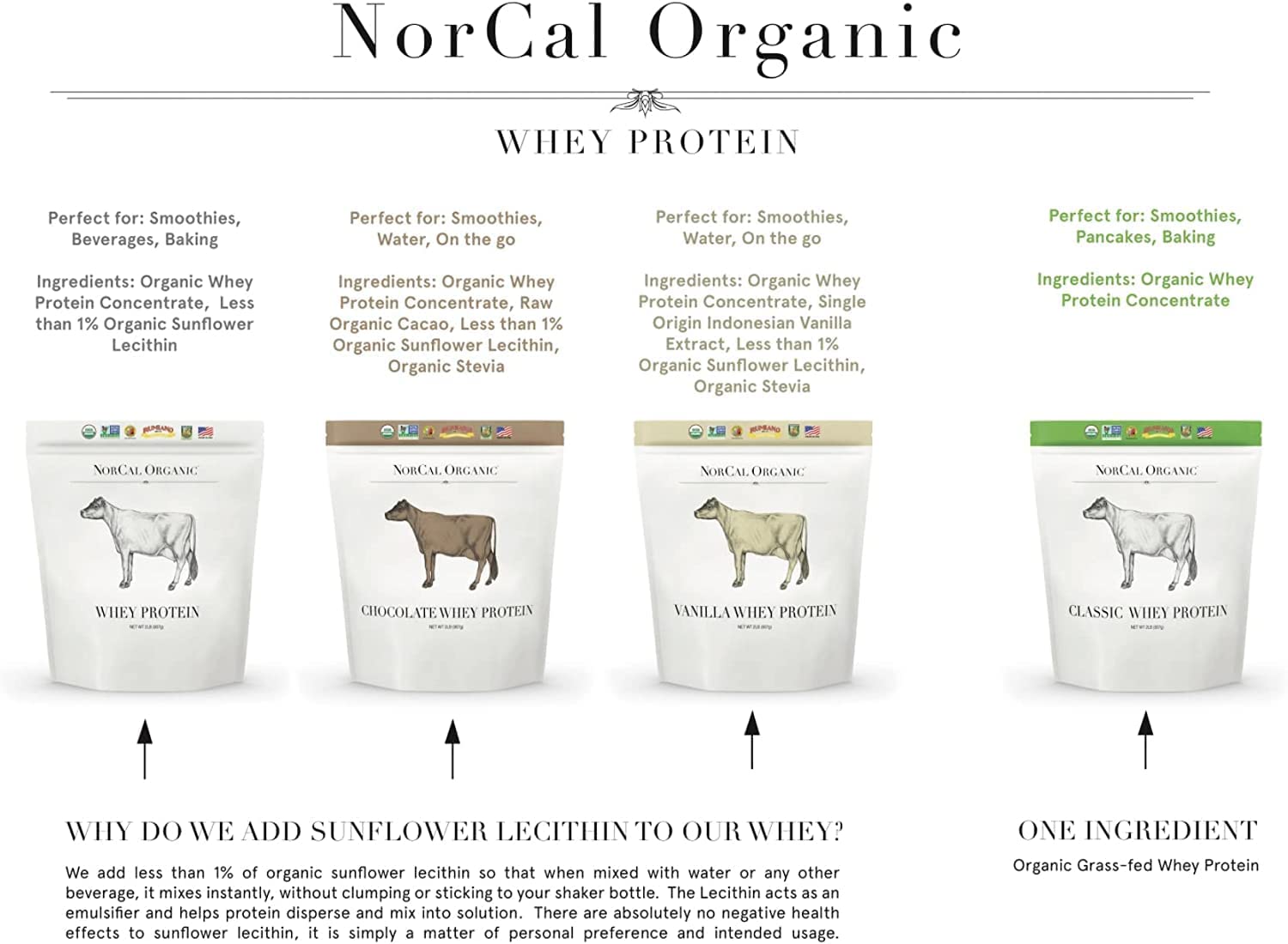 Whey NorCal Organic classique sans lécithine, poudre pure et polyvalente.