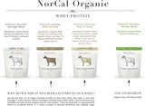 Whey NorCal Organic classique sans lécithine, poudre pure et polyvalente.
