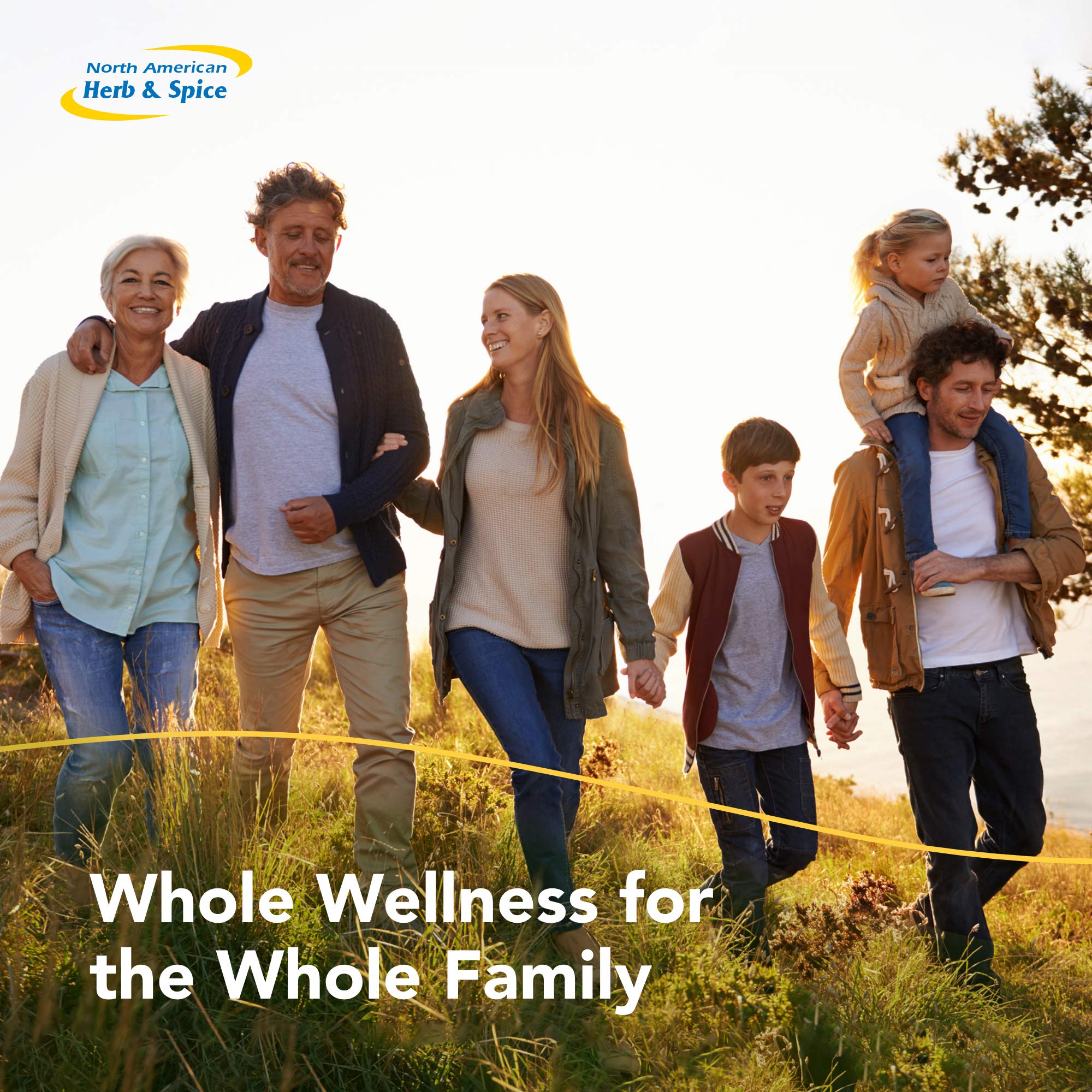 Arômes naturels Fung-E-Clenz de North American Herb & Spice, notes herbacées.